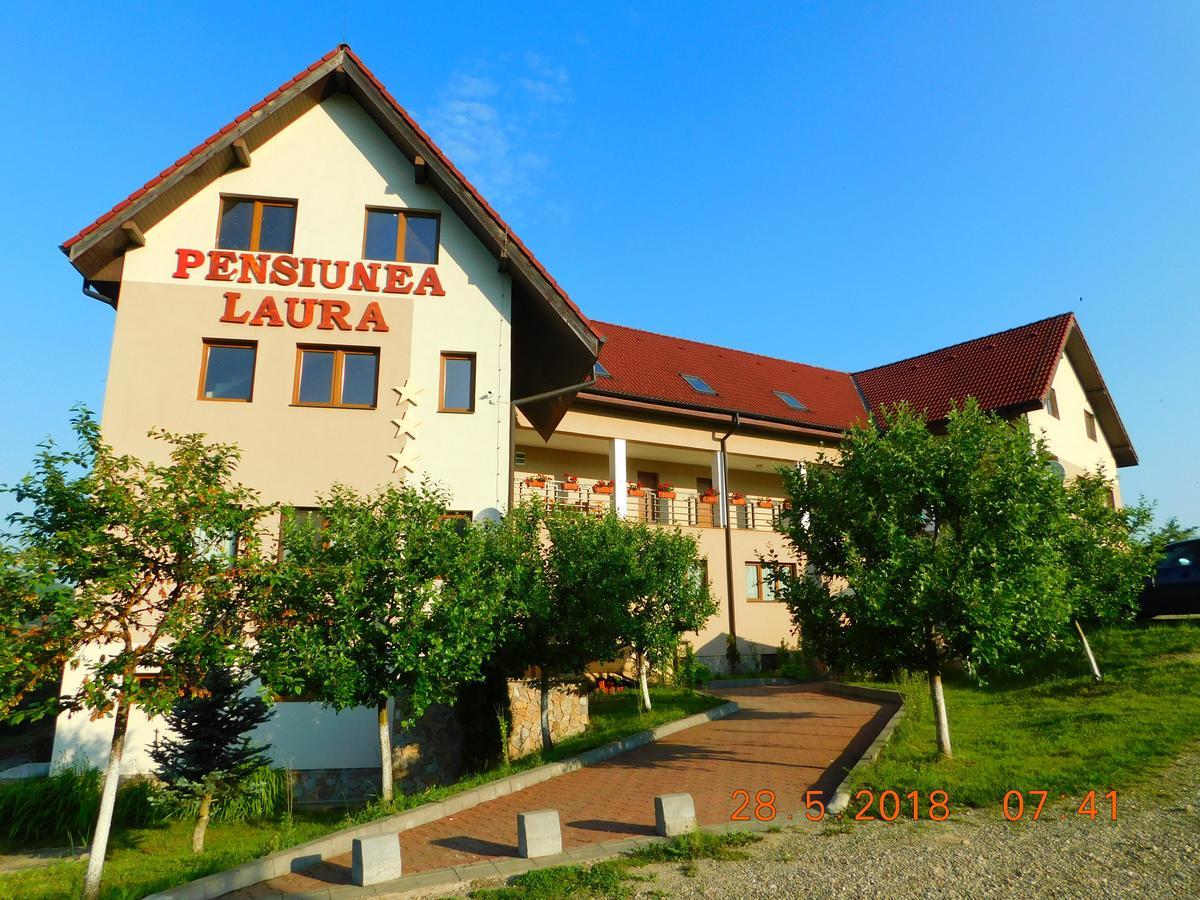 Pension Laura Cheile Turzii Petreştii de Jos 외부 사진