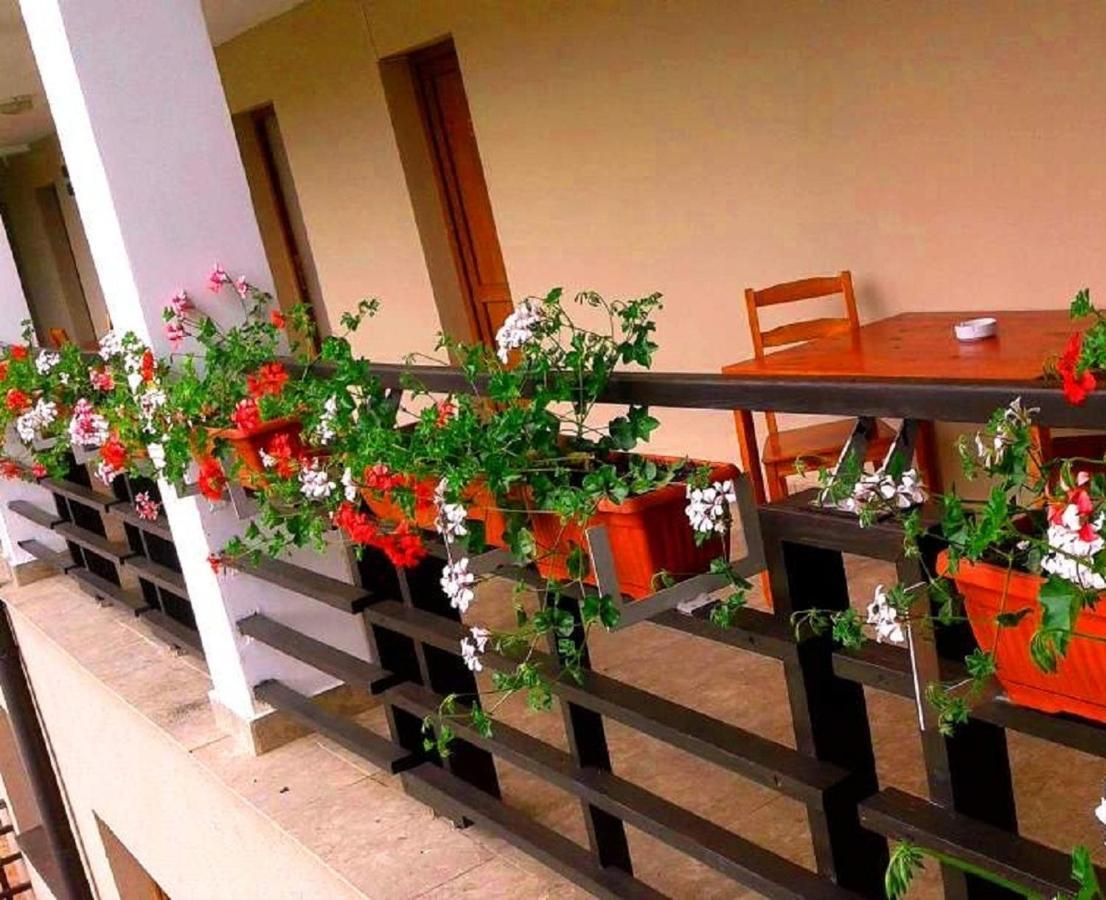 Pension Laura Cheile Turzii Petreştii de Jos 객실 사진